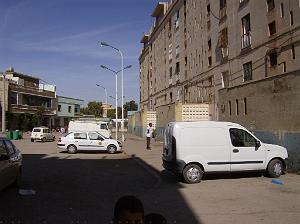LA CITE DES MIMOSAS 04